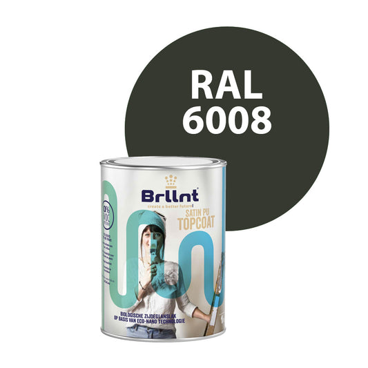 Peinture Bois RAL 6008 Vert brun