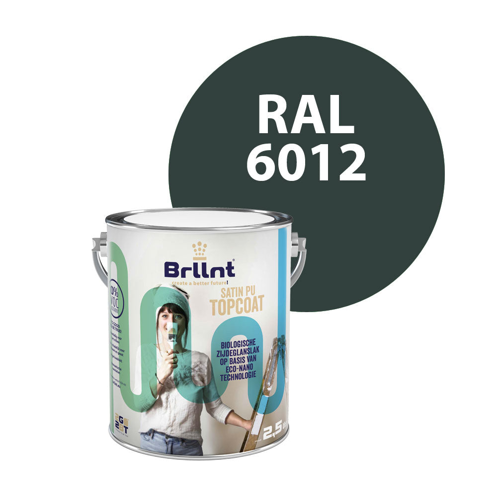 Peinture Bois RAL 6012 Vert noir