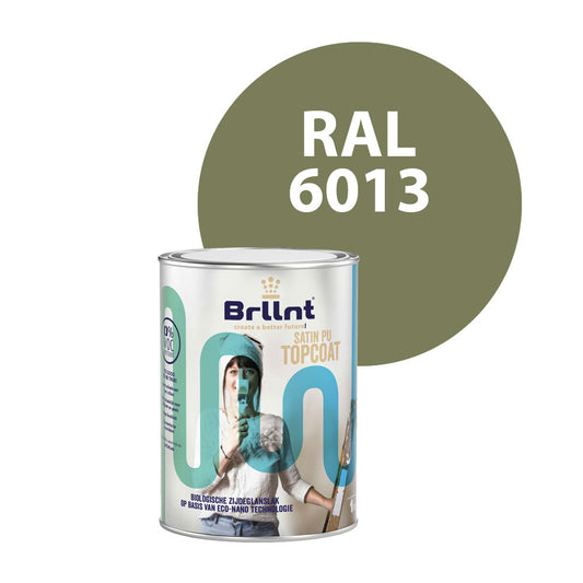 Peinture Bois RAL 6013 Vert jonc