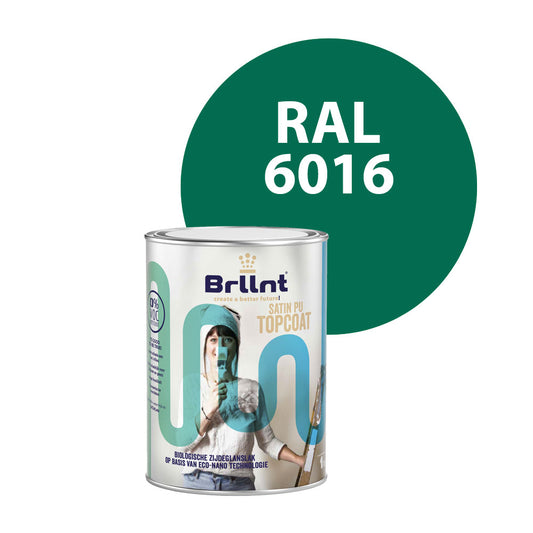 Peinture Bois RAL 6016 Vert turquoise