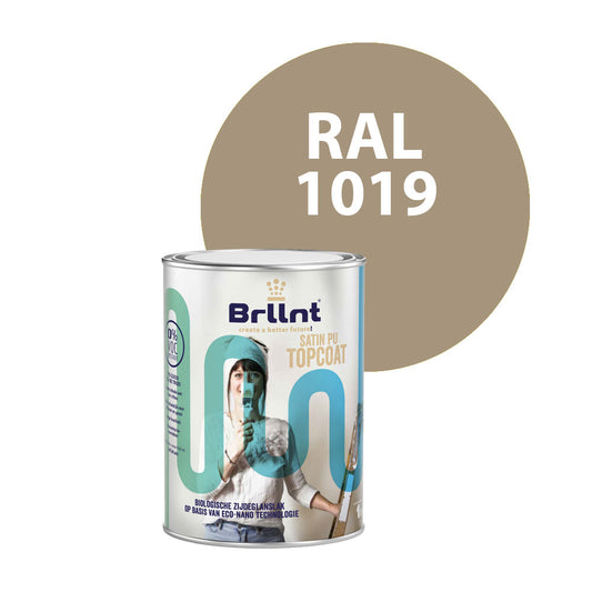 Peinture Bois RAL 1019 Beige gris