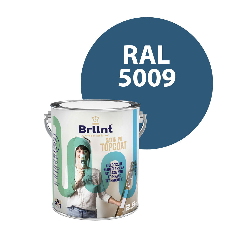 Peinture Bois RAL 5009 Bleu azur