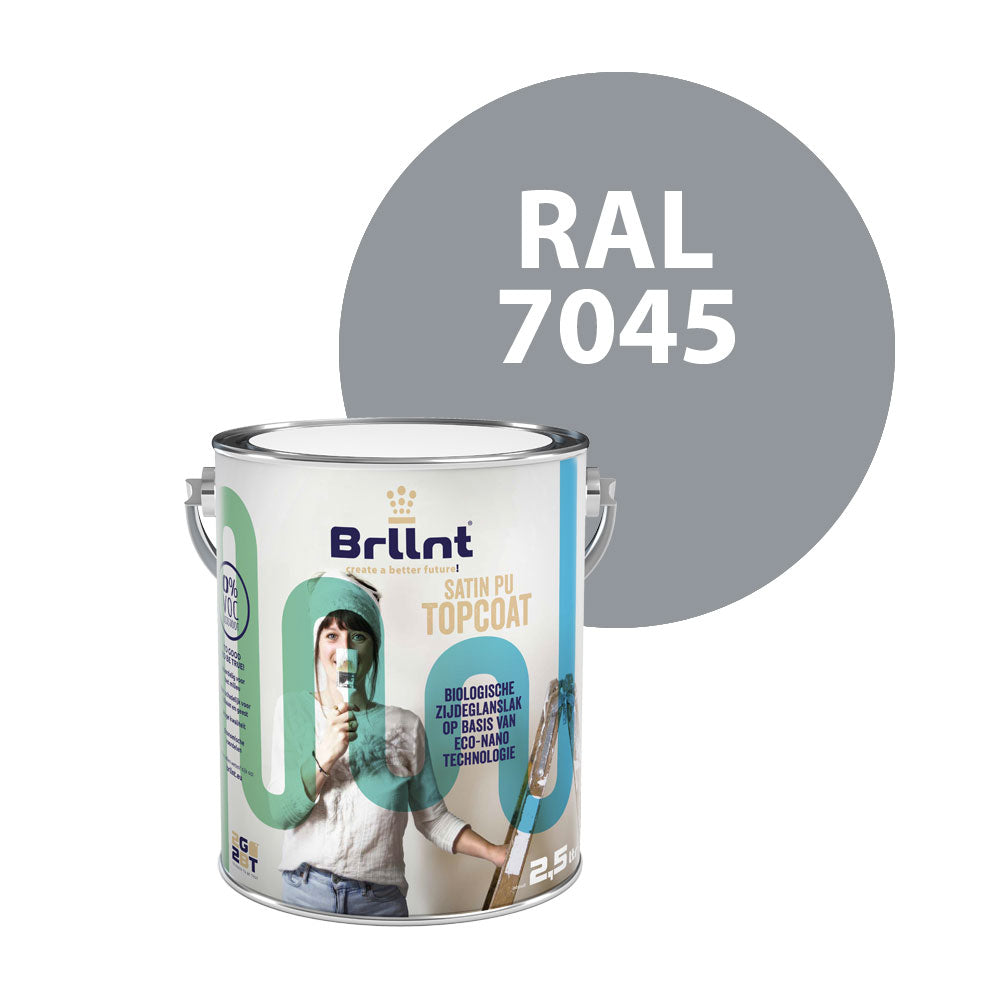 Peinture Bois RAL 7045 Telegris 1