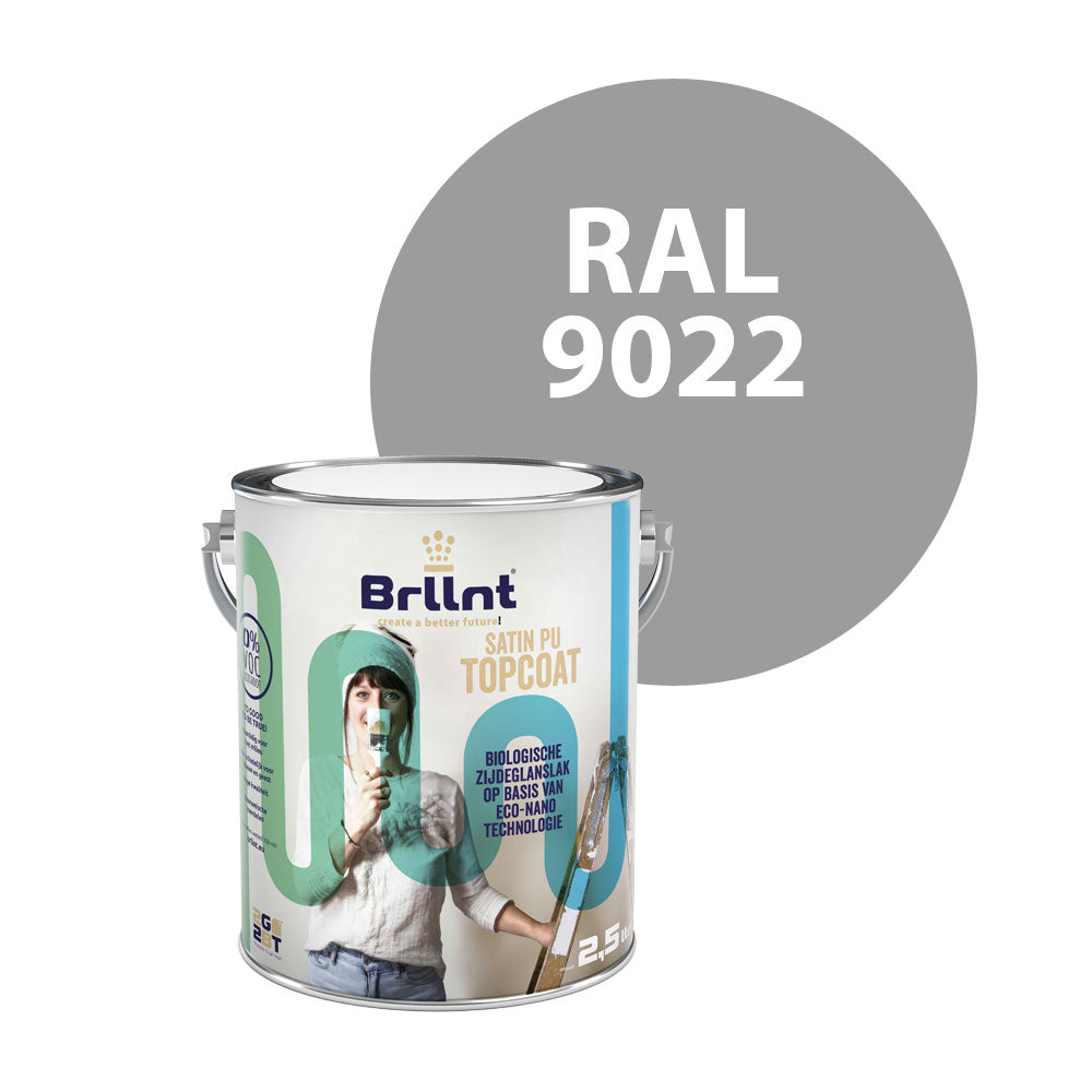 Peinture Bois RAL 9022 Gris clair nacré